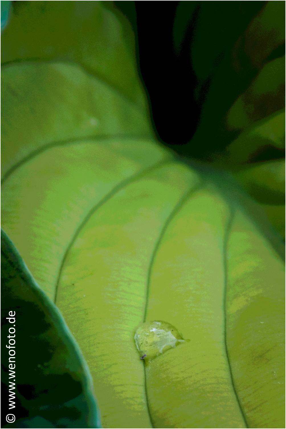 140501-037 Tontrennung 10