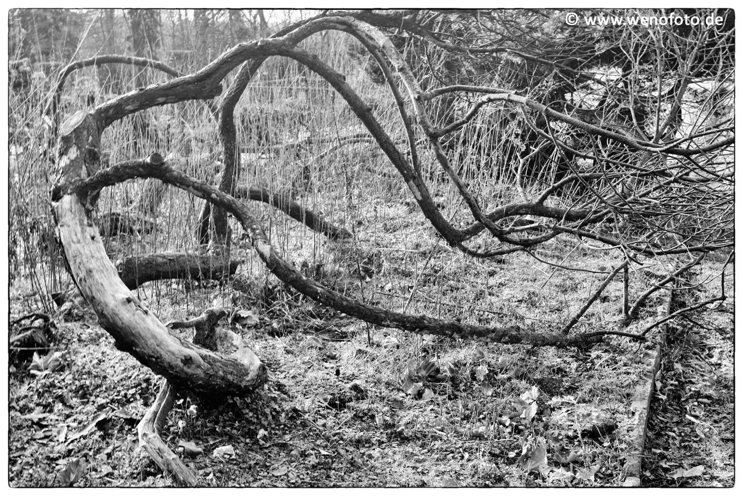 Schloss Berge 140118-005 Kuenstlerisch Highkey #020