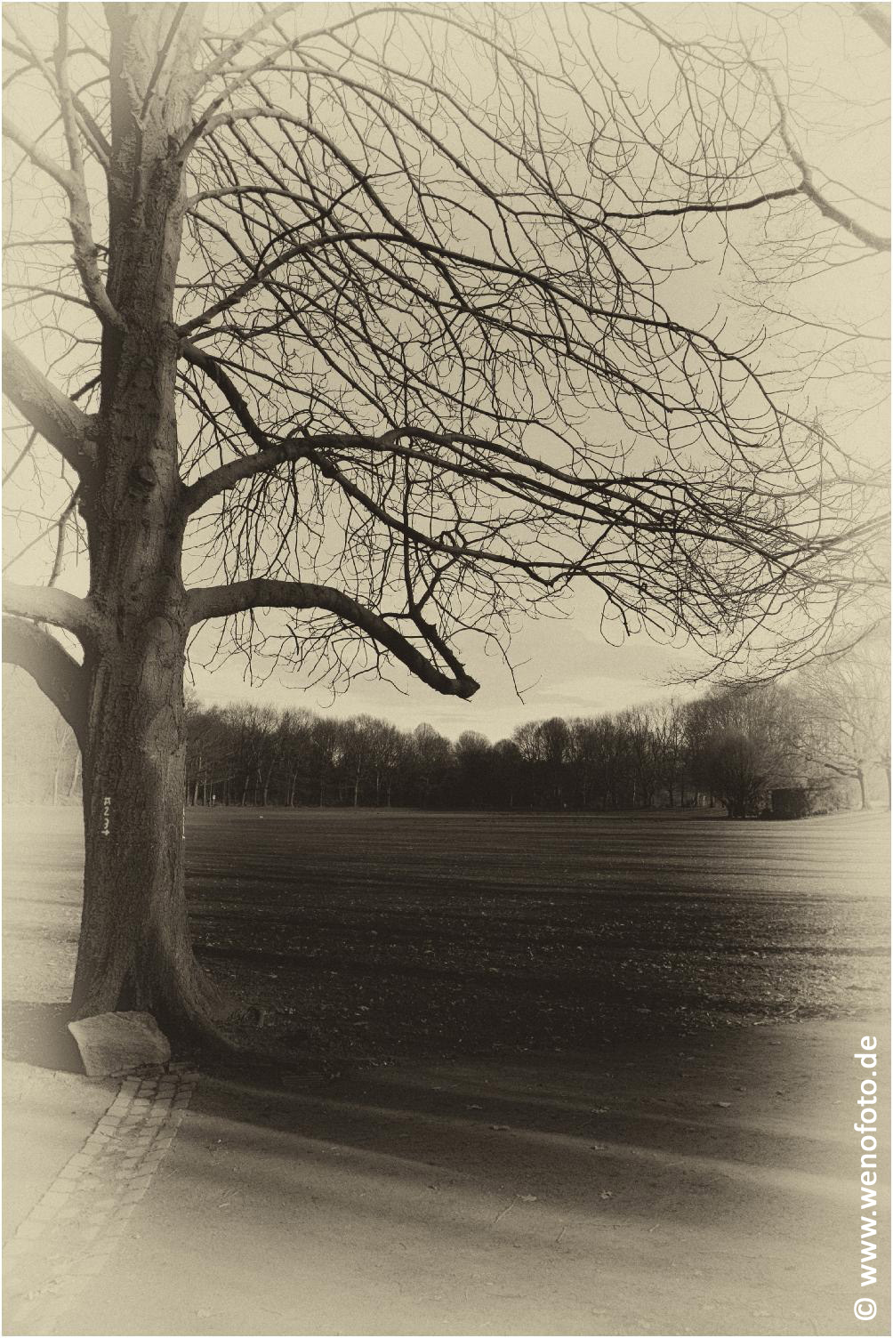 Schloss Berge 140118-010 Alte Fotoplatte II #036