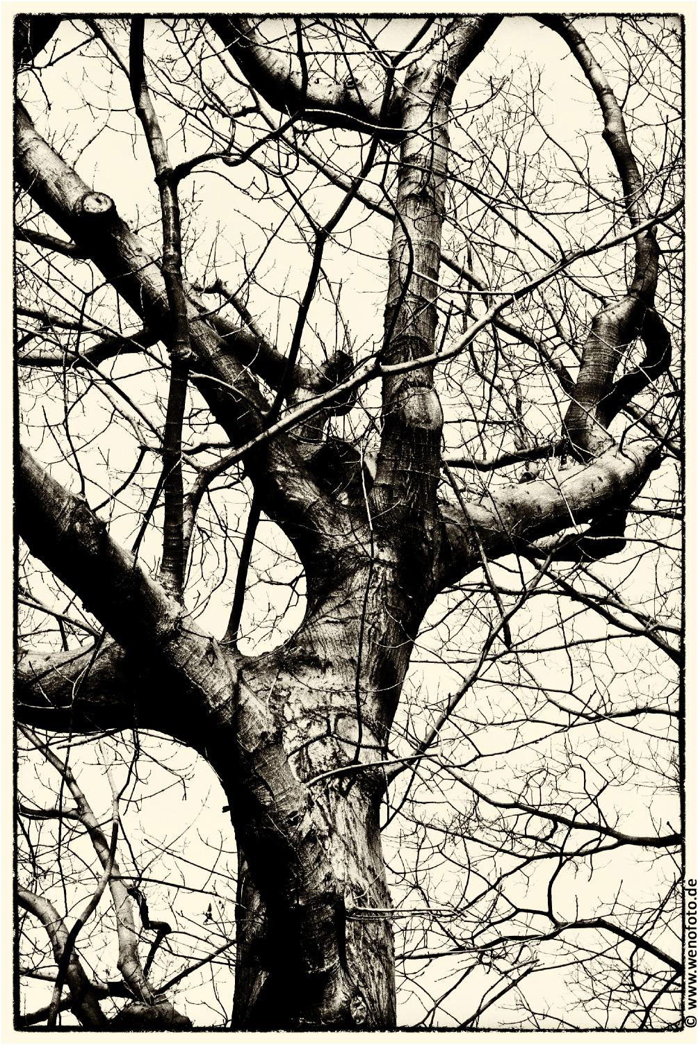 Schloss Berge 140118-014 Vergilbt 1 #033