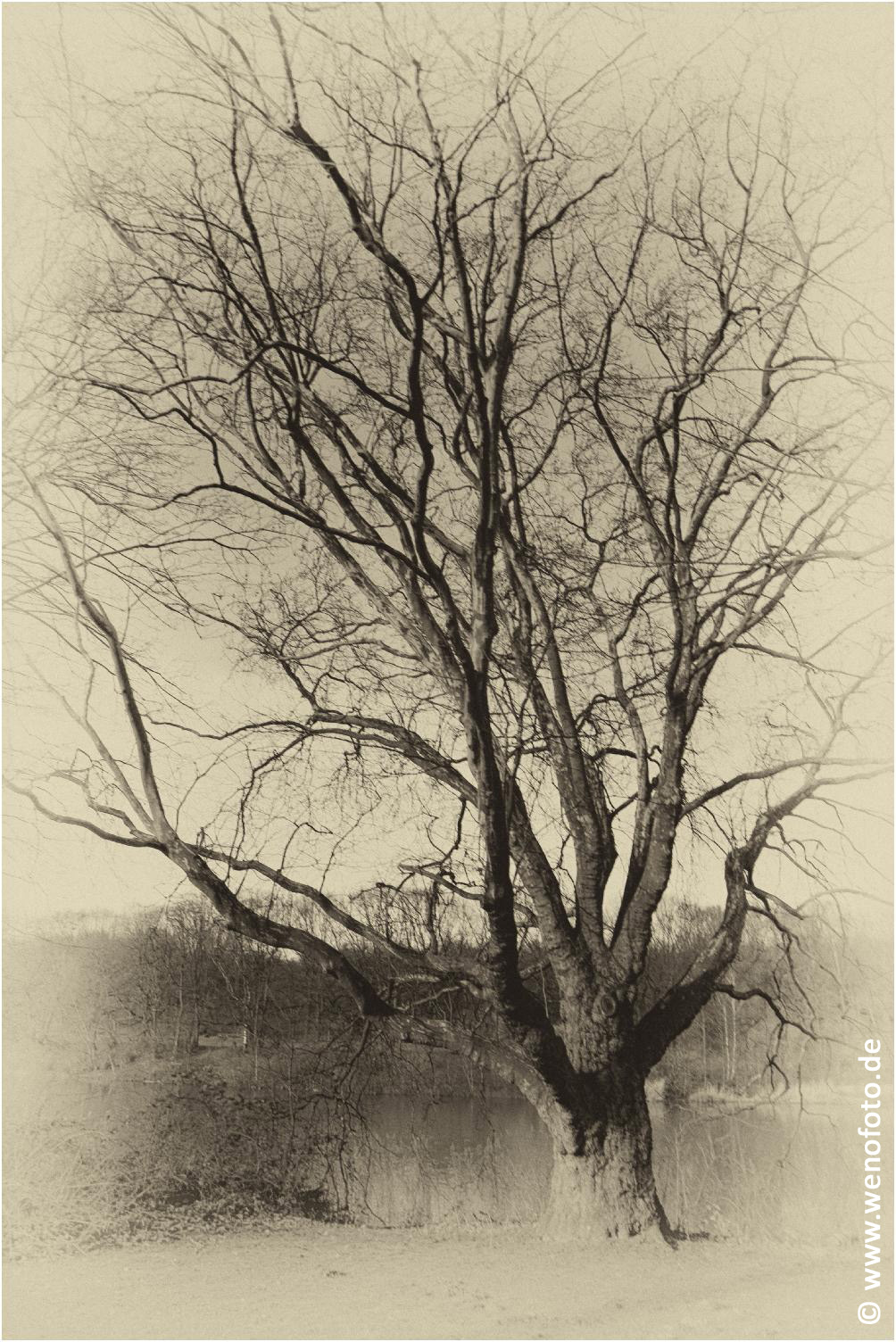 Schloss Berge 140118-021 Alte Fotoplatte II #036