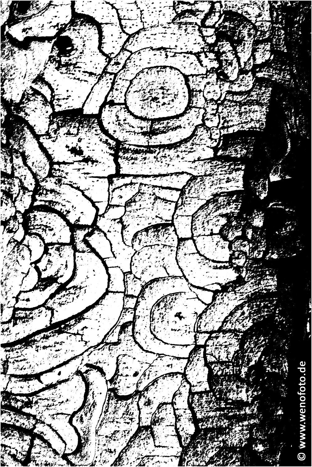 Schloss Berge 140118-044 Schwellenwert 128