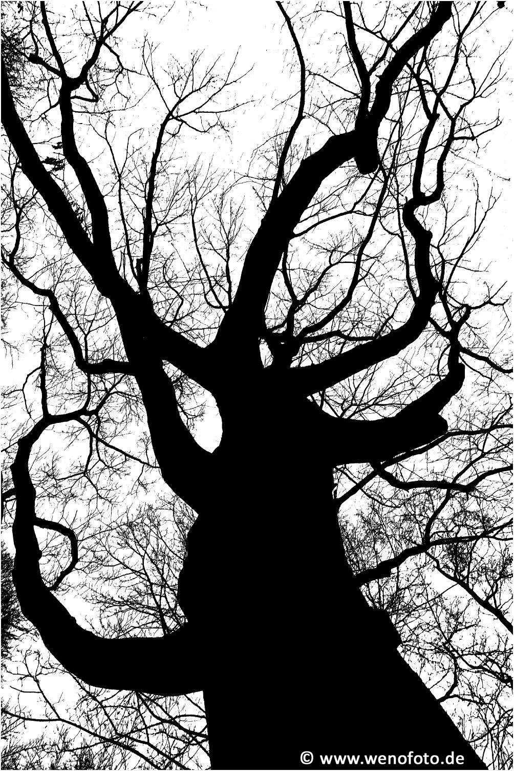 Schloss Berge 140118-052 Schwellenwert 217