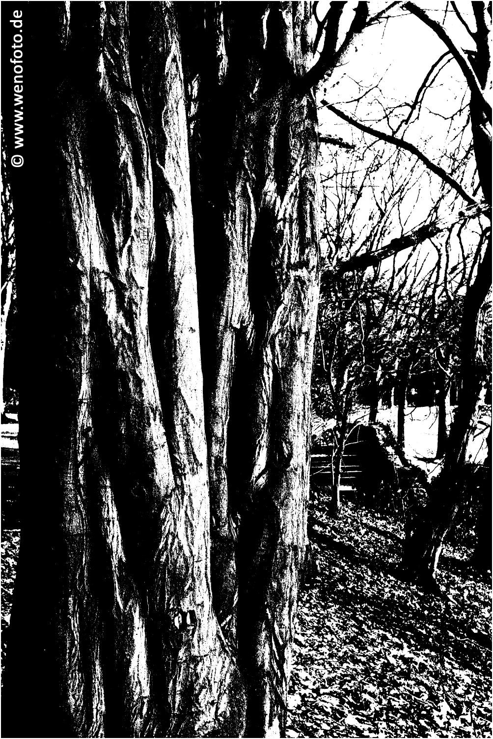 Schloss Berge 140118-056 Schwellenwert 120