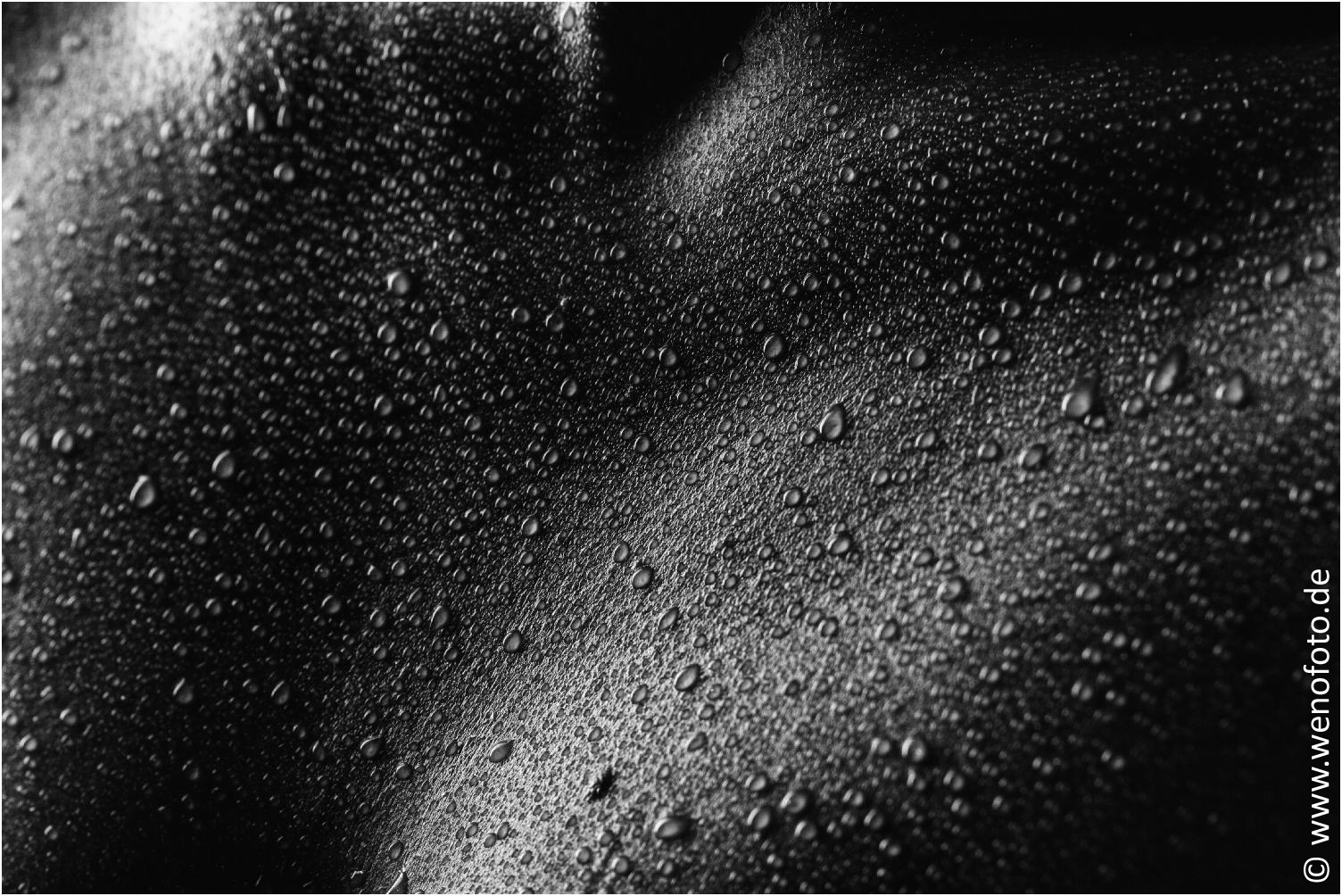 Steffi 140201-042 Low Key 2 #010