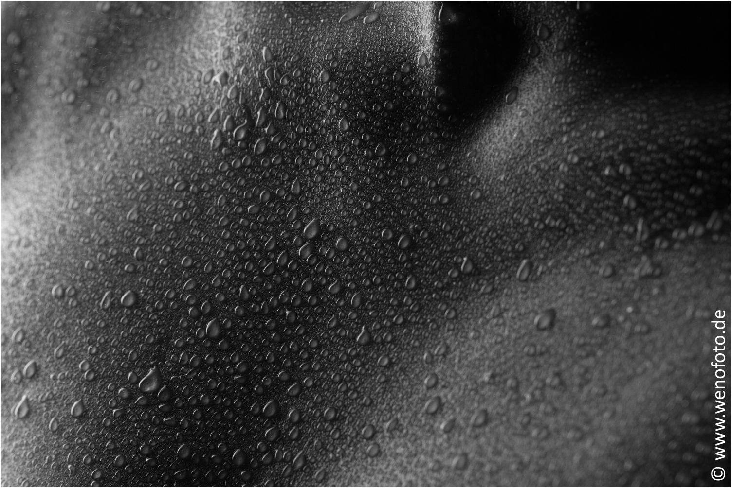 Steffi 140201-043 Kuenstlerischer Prozess #019