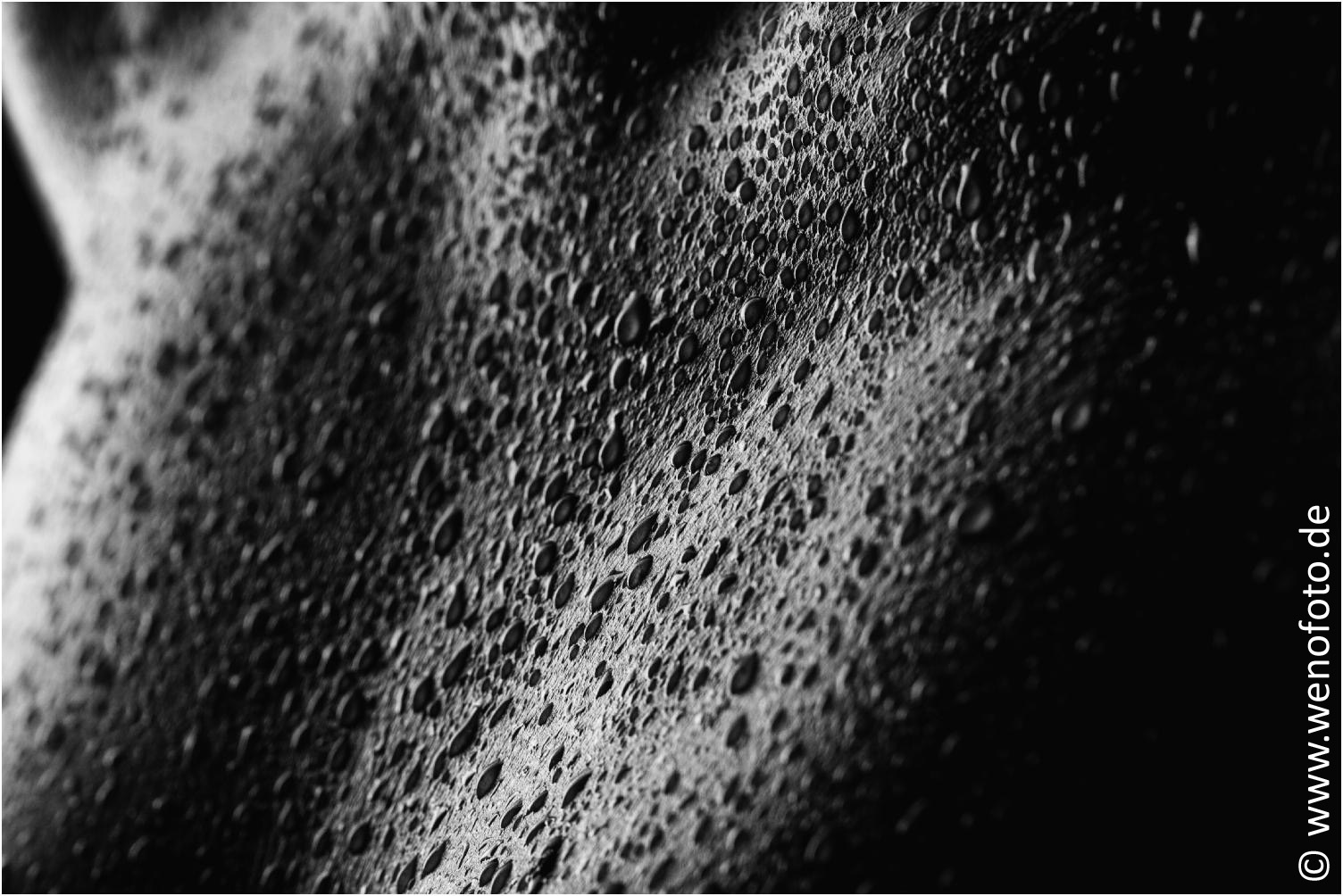 Steffi 140201-050 Low Key Effekt 2 #010