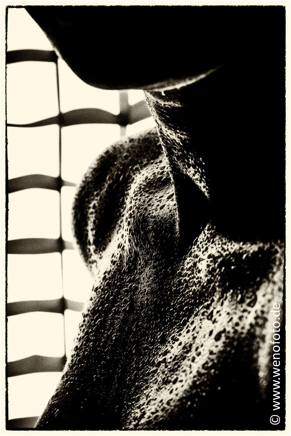 Steffi 140201-051 Vergilbt 1 #033