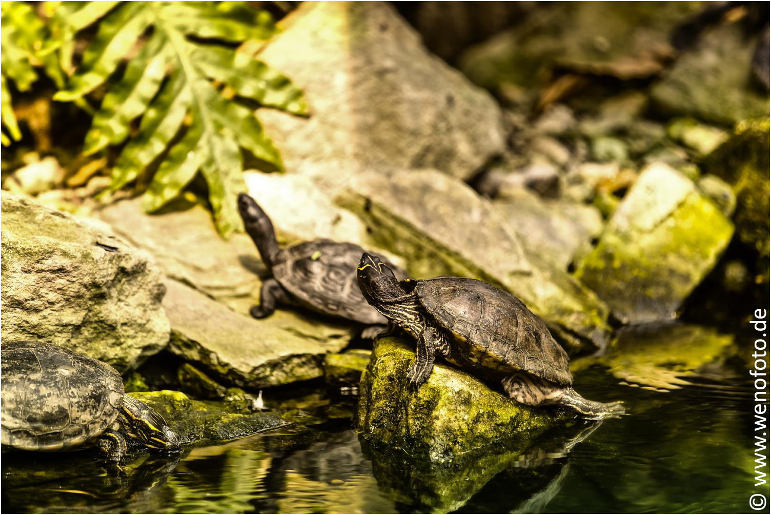 150521-011 APP Rollfilm 8