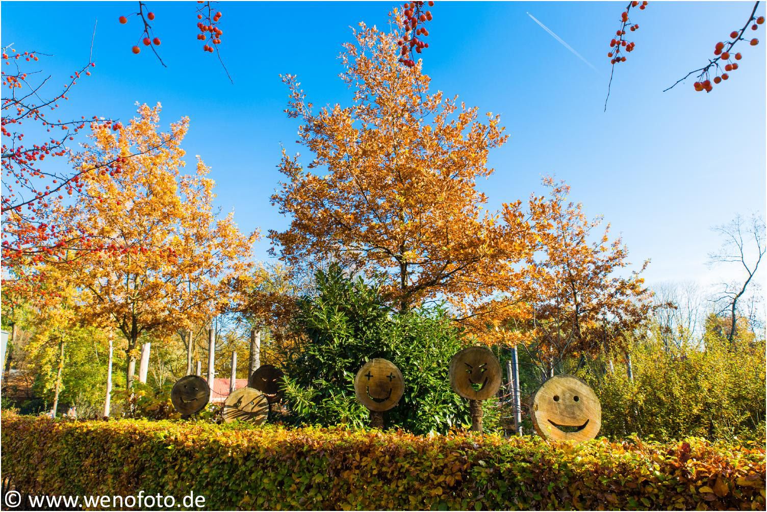 151101-026 Herbstimpression