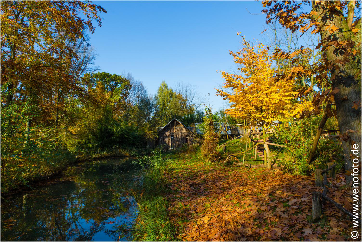 151101-058 Herbstimpression