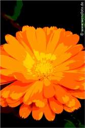 140501-003 Tontrennung 6