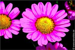 140501-008 Tontrennung 3