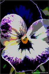 140501-017 Leuchtende Konturen max  100 und Tontrennung 3 70