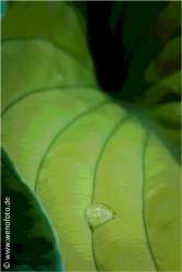 140501-037 Tontrennung 10