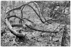 Schloss Berge 140118-005 Kuenstlerisch Highkey #020