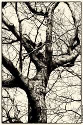 Schloss Berge 140118-014 Vergilbt 1 #033