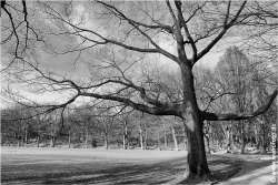 Schloss Berge 140118-016 Voller Kontrast und Struktur #024