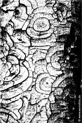 Schloss Berge 140118-044 Schwellenwert 128