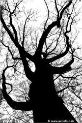 Schloss Berge 140118-052 Schwellenwert 217