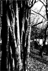 Schloss Berge 140118-056 Schwellenwert 120