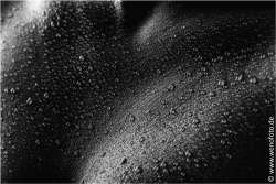 Steffi 140201-042 Low Key 2 #010