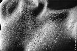 Steffi 140201-046 Voller Kontrast und Struktur #024