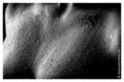 Steffi 140201-048 Hohe Struktur (hart) #005