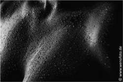 Steffi 140201-049 Low Key 2 #010