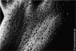 Steffi 140201-050 Low Key Effekt 2 #010