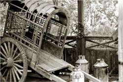 150521-002 APP Rollfilm 6