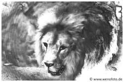 150521-036 SPP Kuenstlerisch Zeichnung 2