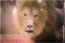 150521-038 AKVIS Bright Pencils Helligkeit 25