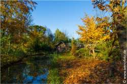 151101-058 Herbstimpression